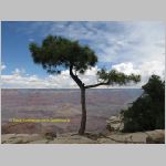 20060813_GrandCanyon_032 copia.jpg